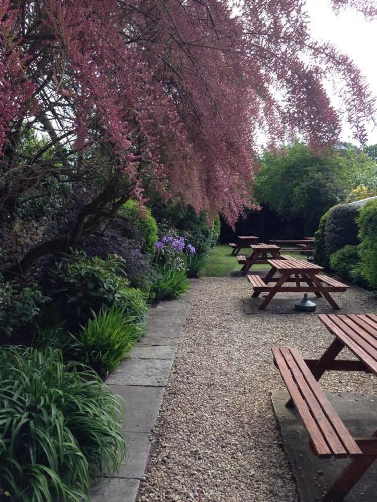 Bed and Breakfast Phelips Arms Montacute Esterno foto